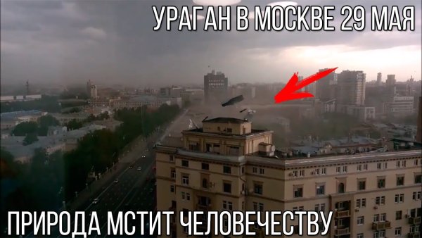 Как природа мстит человеку