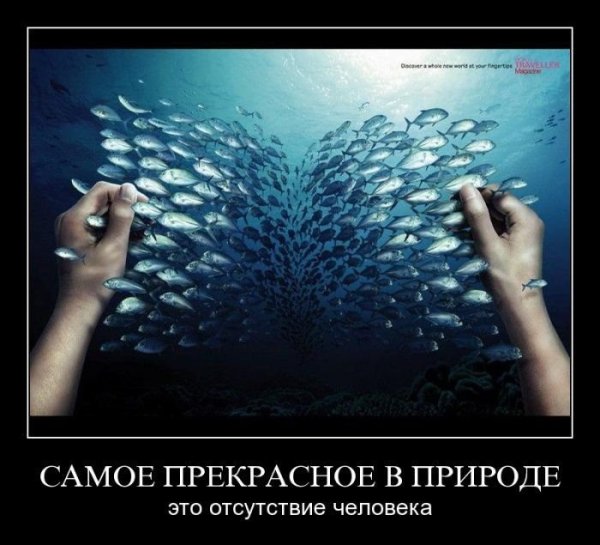 Человек против природы
