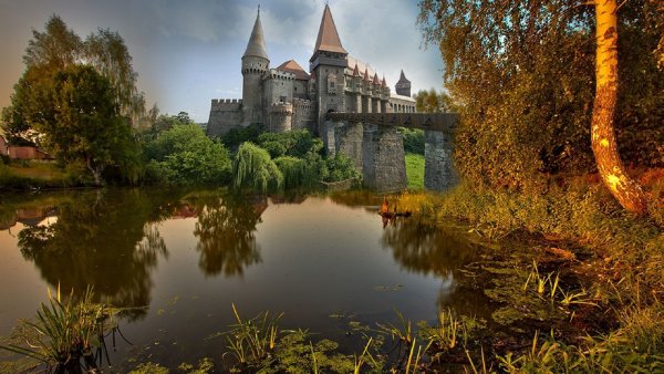 Средневековый замок Петергоф