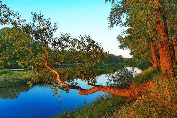 Река Урал в Оренбургской области