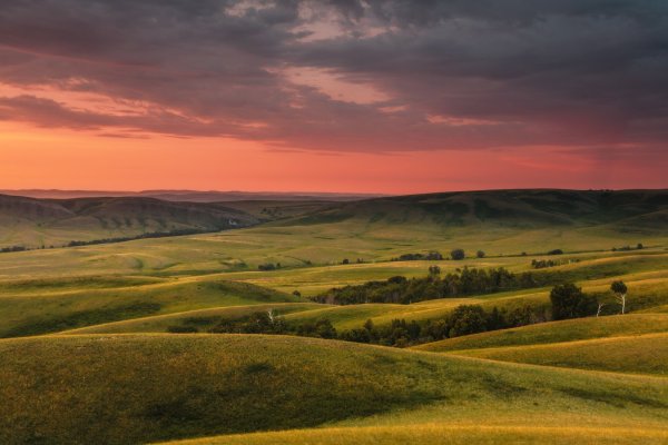 Природа степь Оренбург