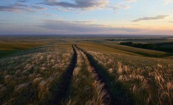 Степи Оренбургской области