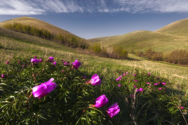Природа Оренбургского края