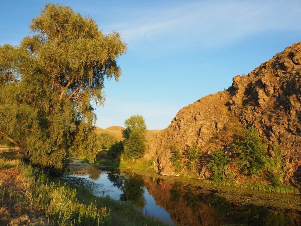 Река Губерля