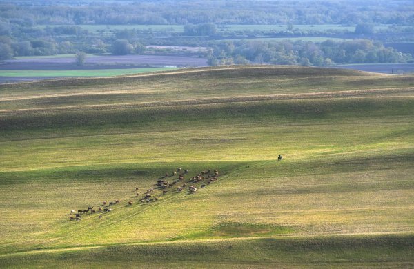 Оренбургские степи Саракташ