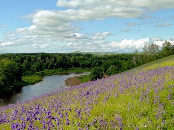 Река Салмыш
