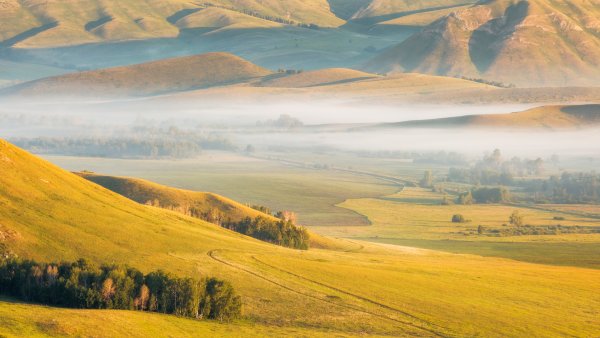 Степь Оренбургская Кувандык