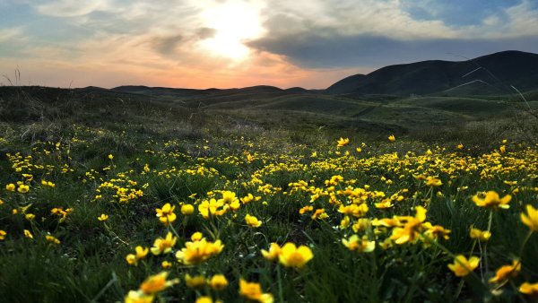 Природа степь Оренбург