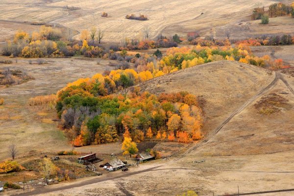 Оренбург осень природа