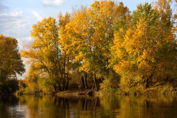 Река Урал Орск осень
