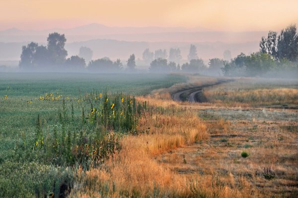 Природа степь Оренбург