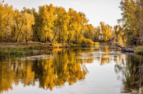 Река Урал Оренбург