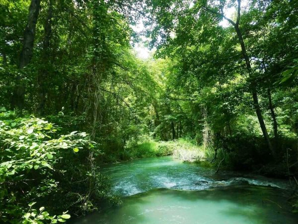Самурский лес в Дагестане
