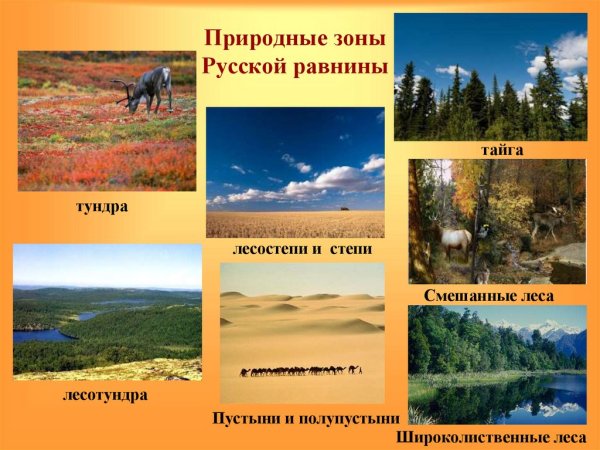 Природные зоны