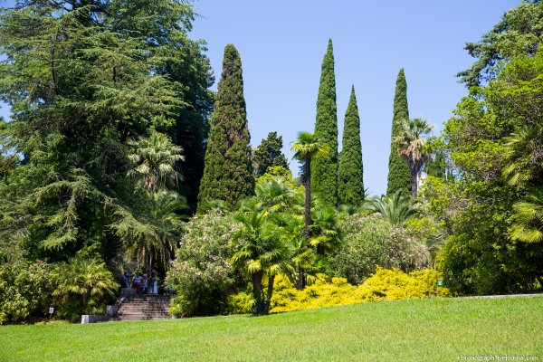 Парк Дендрарий Сочи