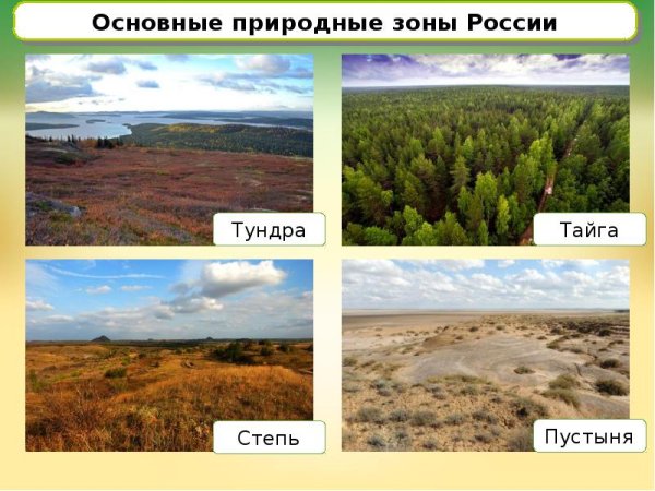 Тундра, степи, пустыни, Тайга, лесостепи