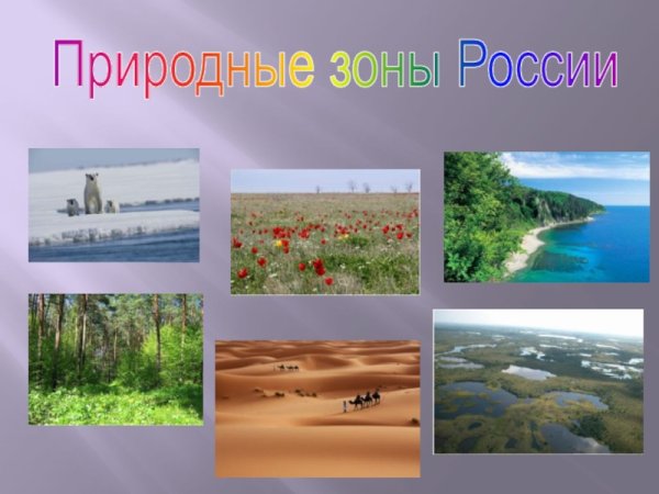 Природные зоны РФ проект