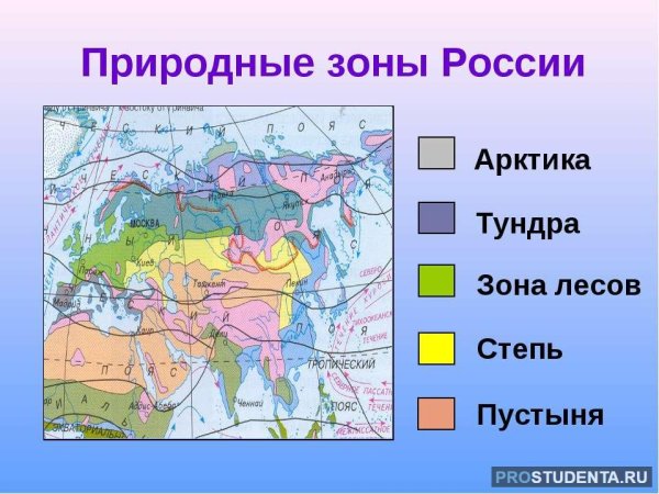 Климатические зоны России 4 класс