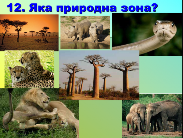 Фотографии природных зон
