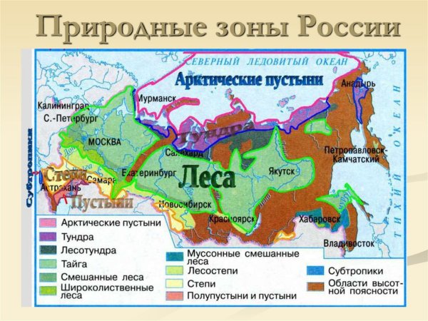 Природные зоны рроссрросси