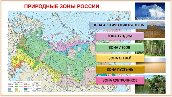 Карта природных зон России 4 класс