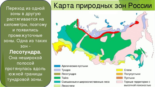 Карта природных зон России 4 класс окружающий мир