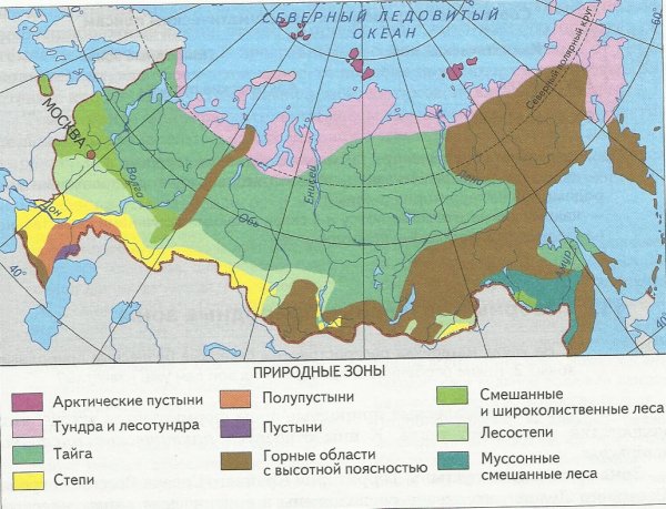 Лесотундра на карте России природных зон