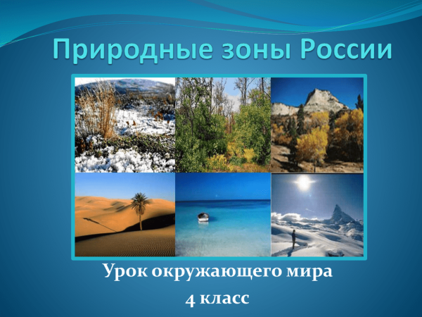 Средняя субарктическая тундра