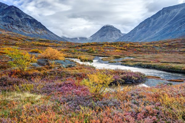 Фотографии природных зон
