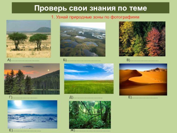 Лесостепная зона Забайкальского края