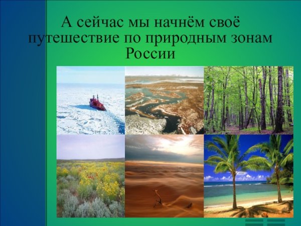 Степь природная зона