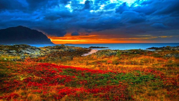 Яркая природа