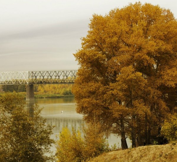 Река в Павлодаре Казахстан