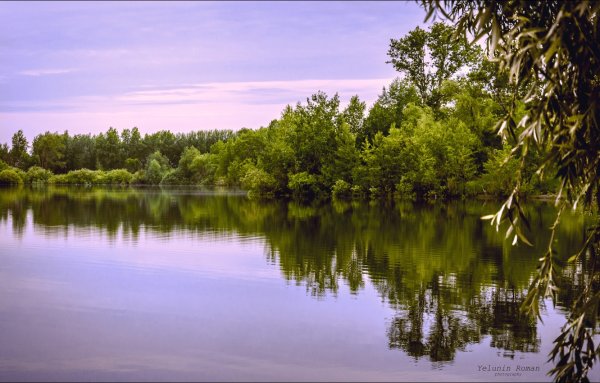 Павлодар Иртыш природа