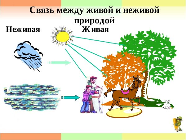 Схема связи живой и неживой природы 2 класс
