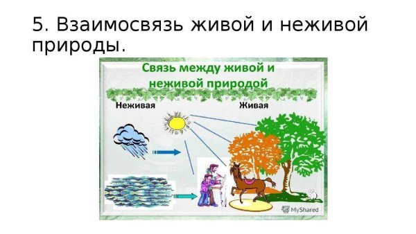 Взаимодействие живой и неживой природы 2 класс