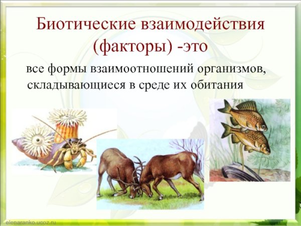 Биотические факторы среды