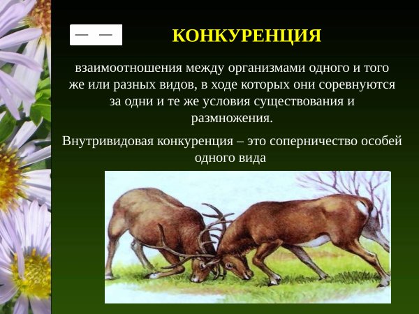 Нейтрализм симбиоз