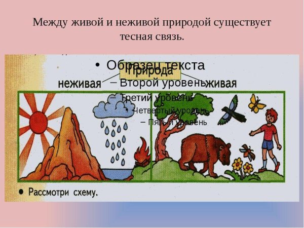 Схема связи живой и неживой природы 2 класс