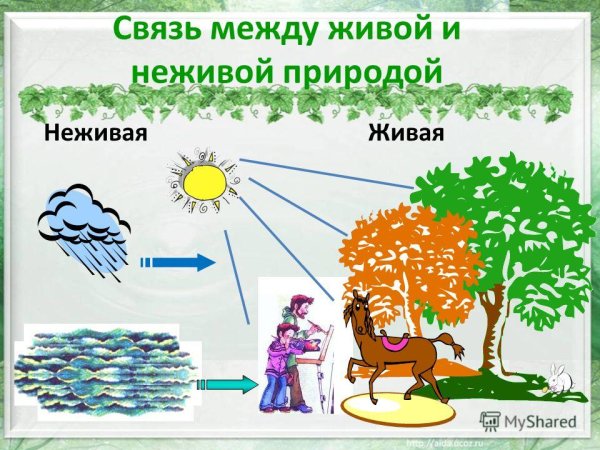 Единение человека с природой