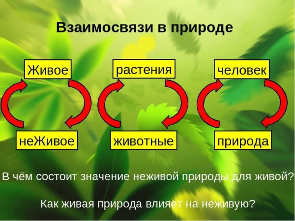 Охрана природы и окружающей среды