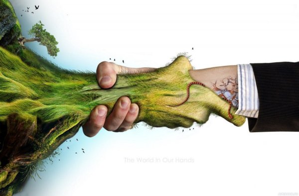 Человек и природа