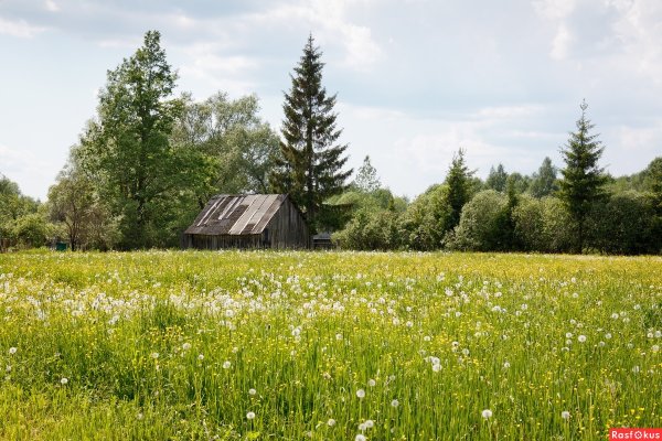 Иоганн Баптист Хофнер пастушка 1866