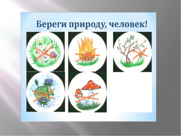 Берегите природу знаки