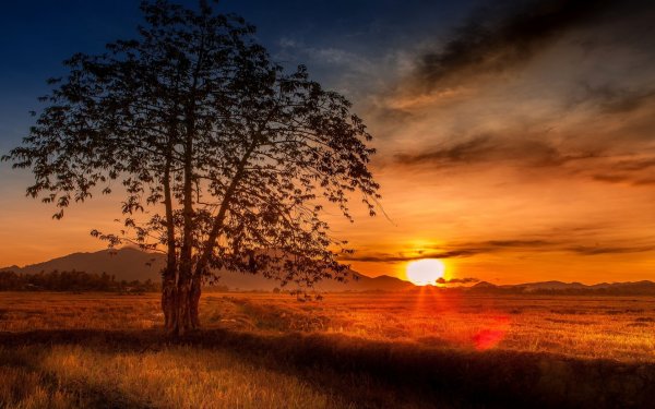 Закат солнца природа