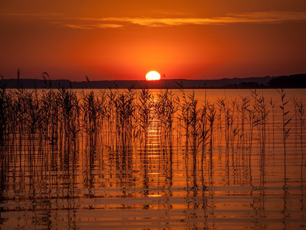 Природа закат