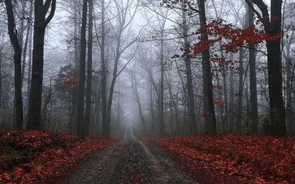 Грустная осень