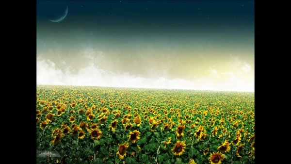 Мотиватор природа