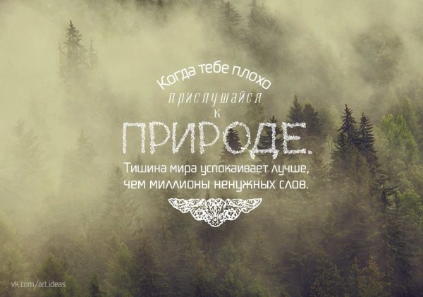 Мотивационные фразы