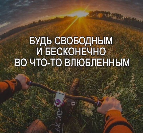 Книга природа